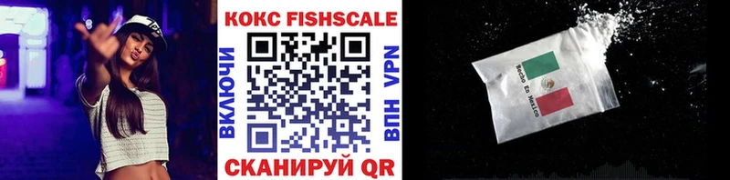 Кокаин FishScale  Николаевск 