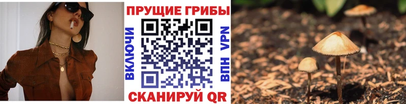 Псилоцибиновые грибы прущие грибы  mega tor  Николаевск  купить наркоту 